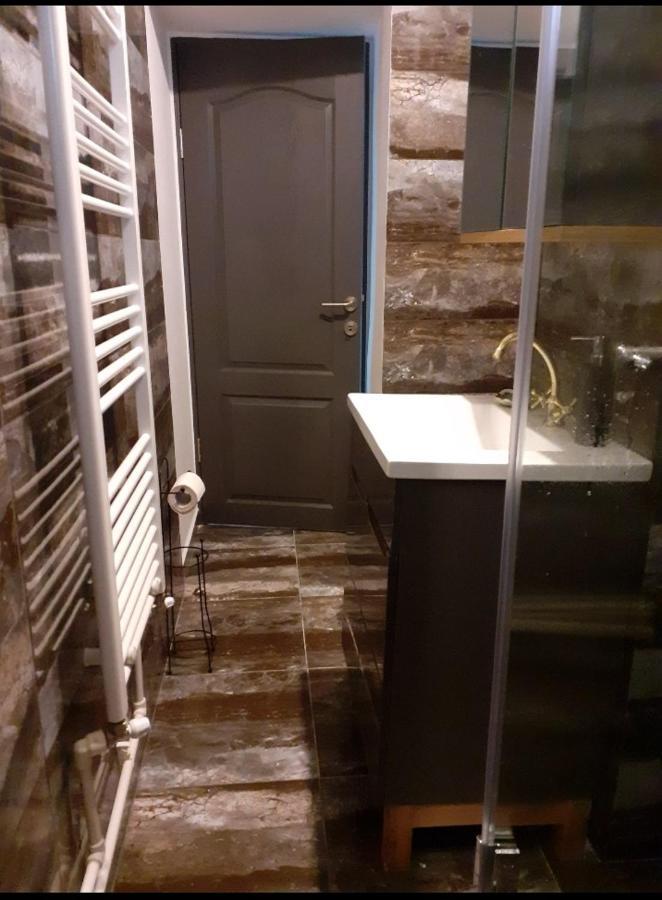 Silene Studio Κραϊόβα Εξωτερικό φωτογραφία