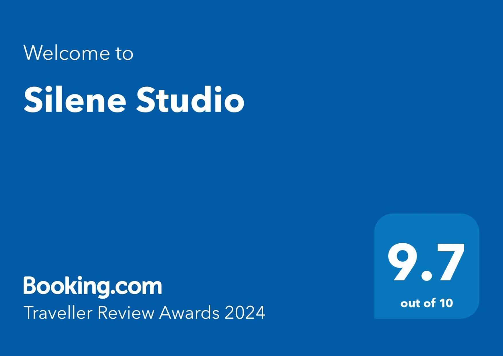 Silene Studio Κραϊόβα Εξωτερικό φωτογραφία