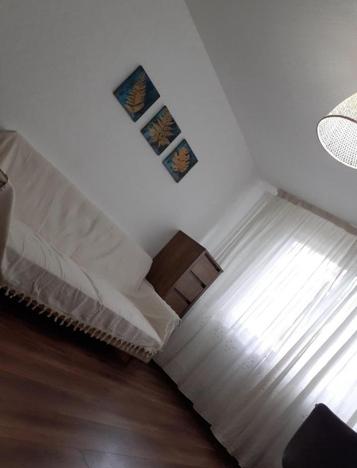 Silene Studio Κραϊόβα Εξωτερικό φωτογραφία